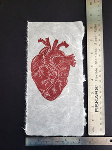 Anatomical Heart - Misprint Misfit